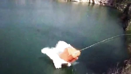 Venta de dispositivo pescante de lanzamiento de bote salvavidas de caída libre