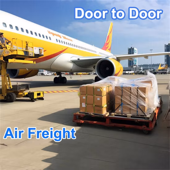 Logística/flete aéreo/UPS/DHL/FedEx/flete marítimo/China a todo el mundo